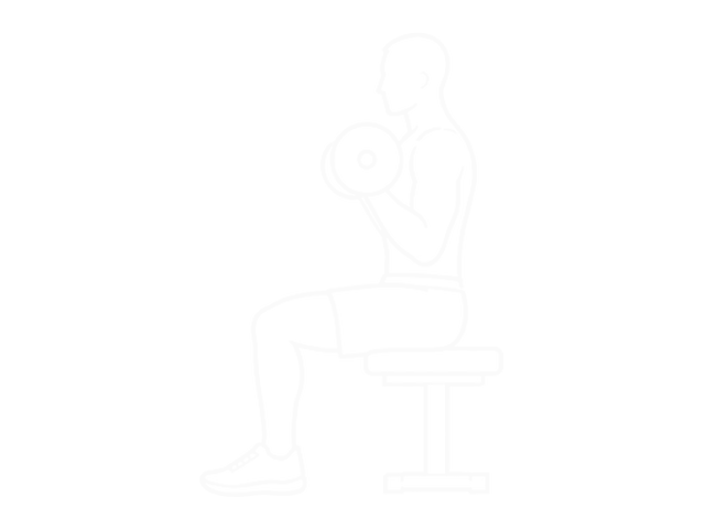 Seated Barbell Close-Grip Concentration Curl — End