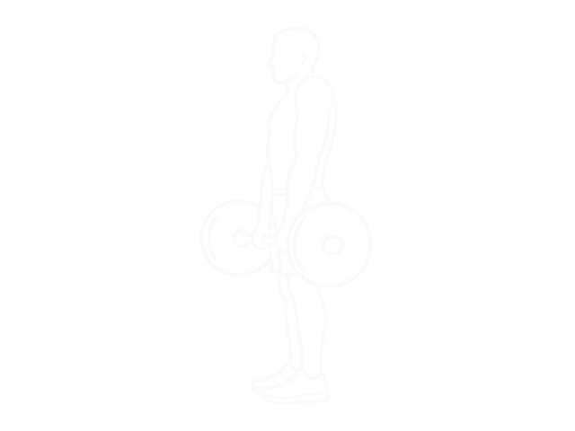 Barbell Shrug — End