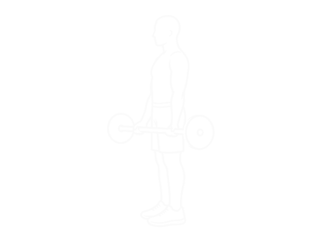 Standing Barbell Wide-Grip Curl — 시작