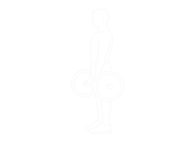 Barbell Straight Leg Deadlift — 시작