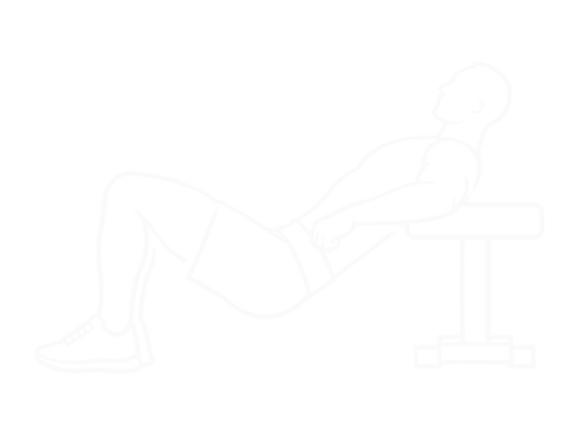 Bench Hip Extension — 시작