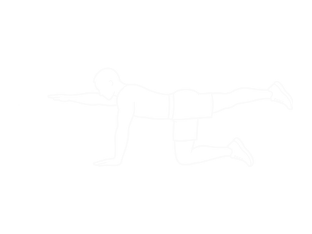 버드독 — 끝