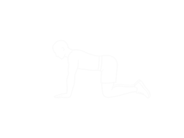 버드독 — 시작