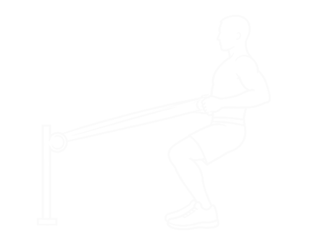 Bodyweight Squatting Row (With Towel) — 끝