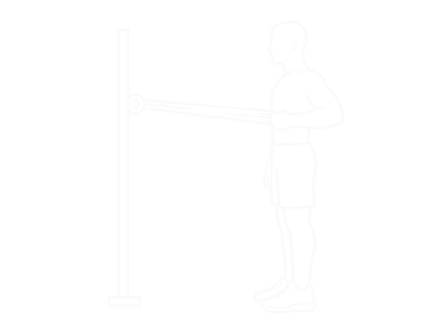 Bodyweight Standing One-Arm Row (With Towel) — 끝