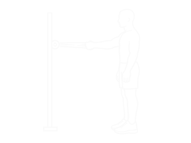 Bodyweight Standing One-Arm Row (With Towel) — 시작