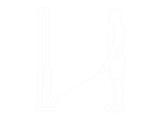 Cable Forward Raise — 시작