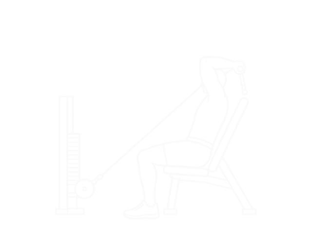 Incline Cable Triceps Extension — 시작