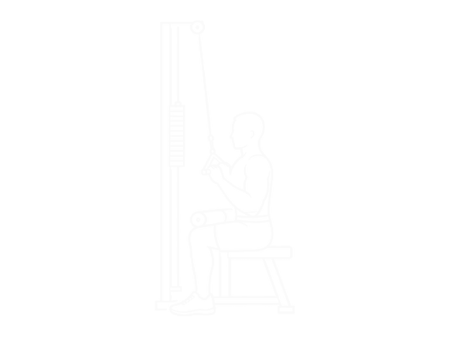 Cable Lateral Pulldown with V-Bar — 끝