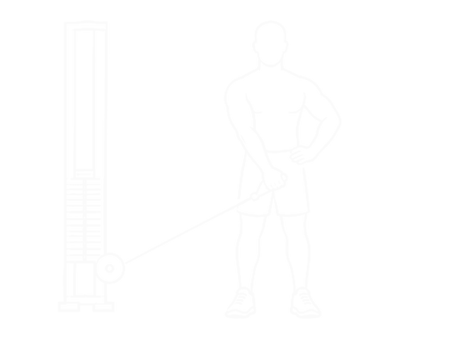 Cable Lateral Raise — 시작