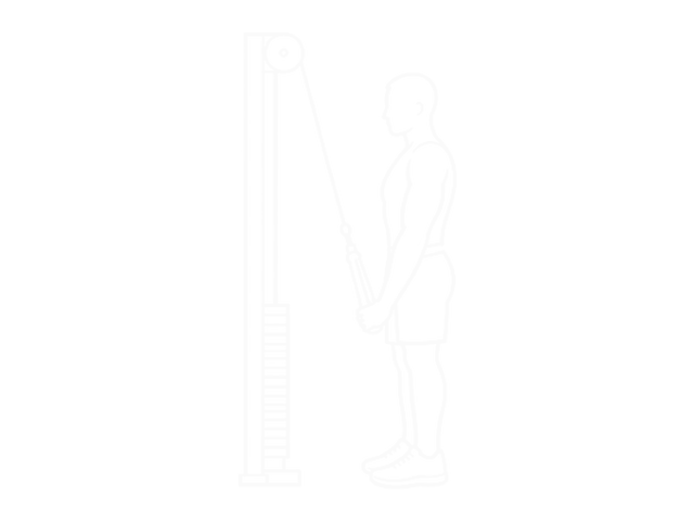 One-Arm Cable Triceps Pushdown — End