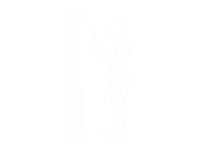 One-Arm Cable Triceps Pushdown — Start
