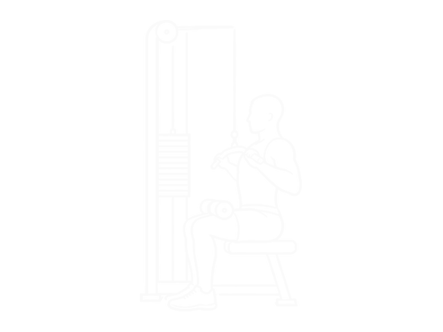 Cable Pulldown — 끝