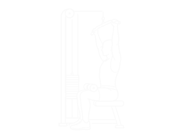 Cable Pulldown — 시작