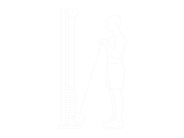 Cable Reverse Curl — 끝