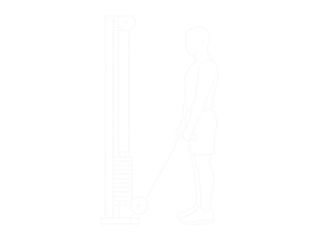 Cable Reverse Curl — 시작