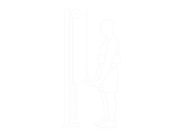 Cable Reverse-Grip Triceps Pushdown (Sz-Bar) (With Arm Blaster) — End