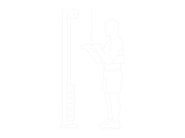 Cable Reverse-Grip Triceps Pushdown (Sz-Bar) (With Arm Blaster) — Start