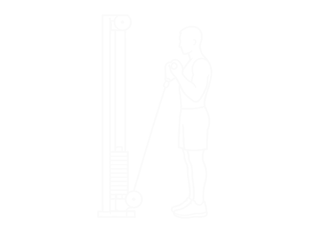 Cable Reverse One-Arm Curl — 끝