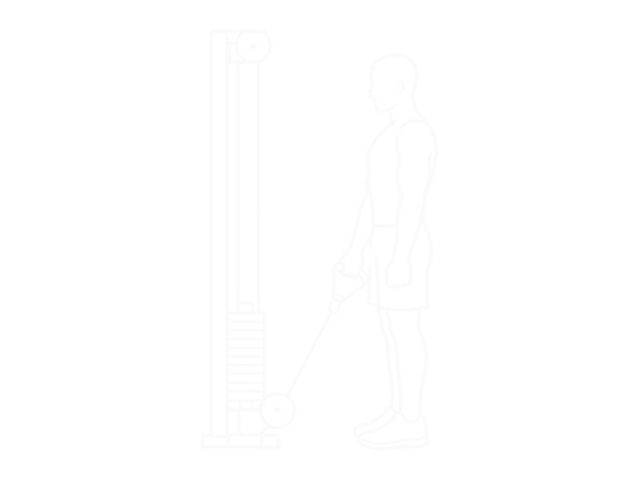 Cable Reverse One-Arm Curl — 시작