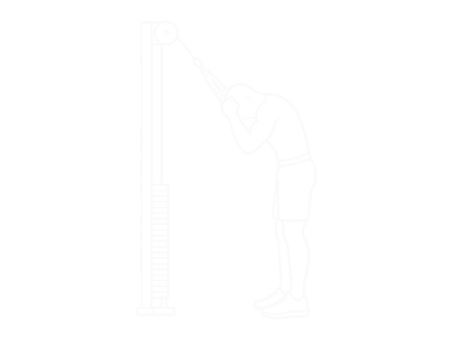 Standing Cable Crunch — 끝