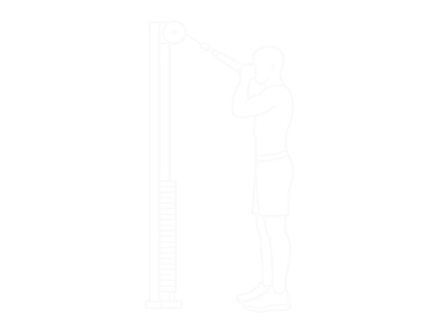 Standing Cable Crunch — 시작