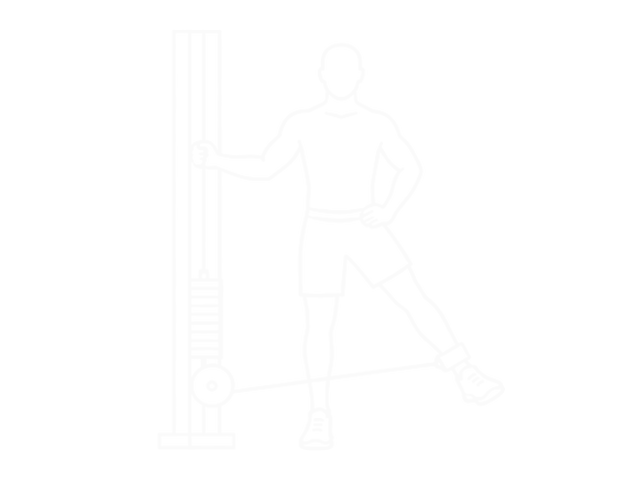 Standing Cable Hip Abduction — End