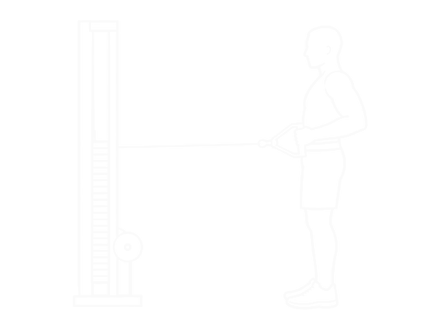 Standing Cable Row (V-Bar) — 끝