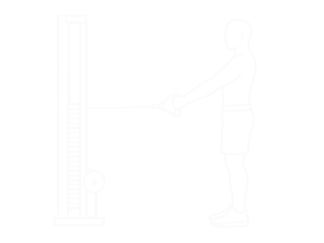 Standing Cable Row (V-Bar) — 시작