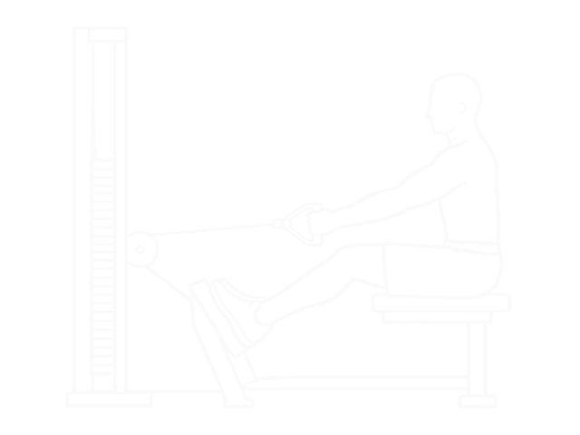Cable Straight Back Seated Row — 시작