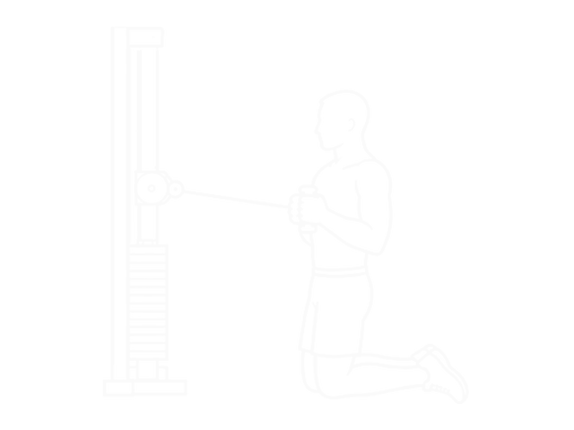 Cable Twist (Up-Down) — 시작