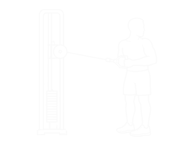Cable Twisting Pull — 끝