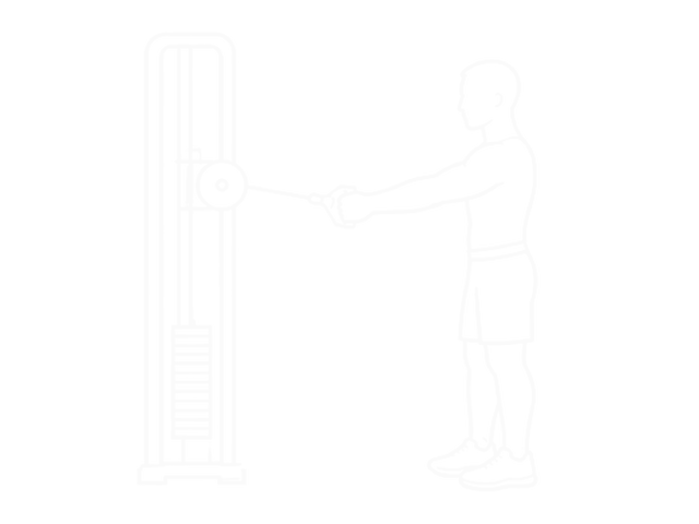 Cable Twisting Pull — 시작