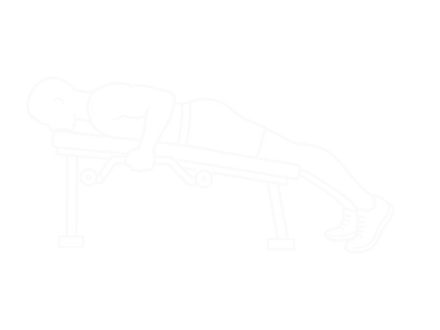 Cambered Bar Lying Row — End