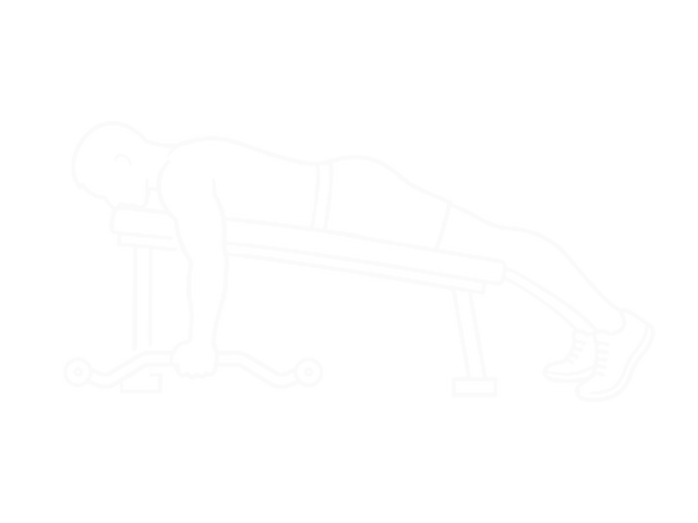 Cambered Bar Lying Row — Start
