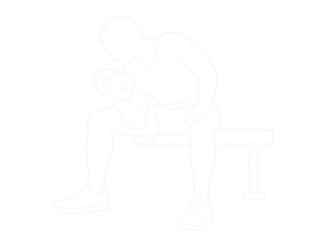 Concentration Curl — 끝