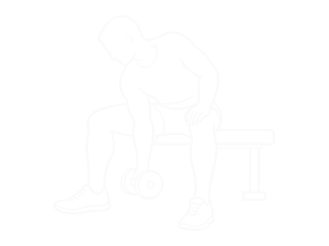 Concentration Curl — 시작