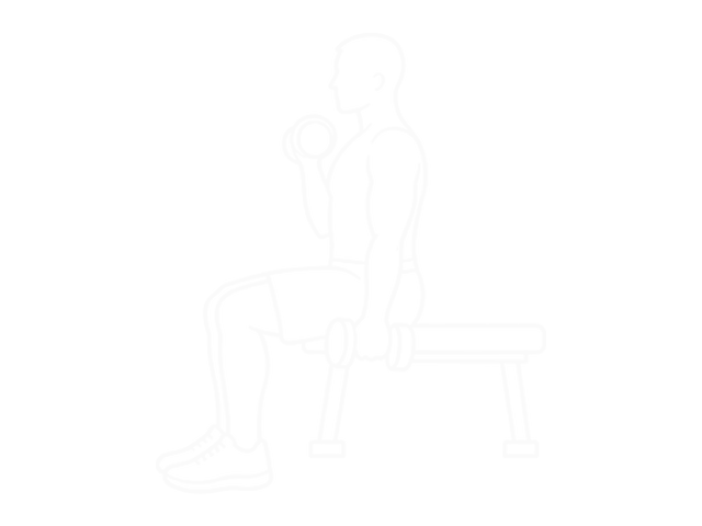 Dumbbell Alternate Seated Hammer Curl — 끝
