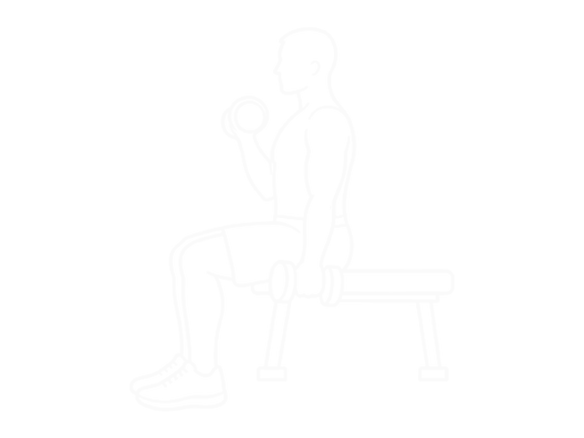 Dumbbell Alternate Seated Hammer Curl — 시작
