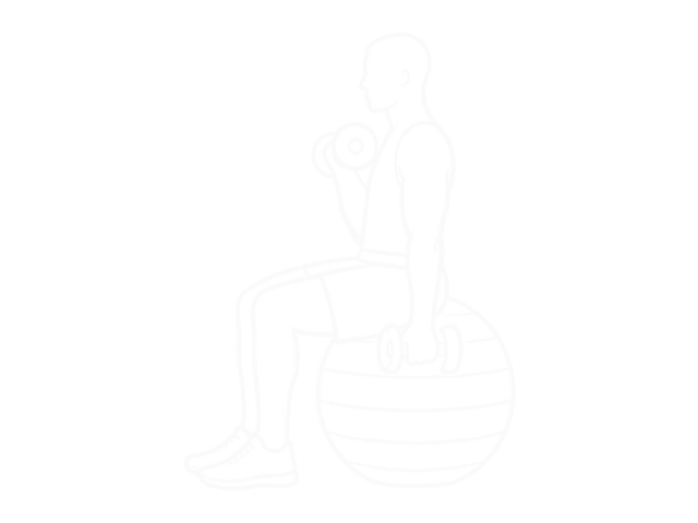 Seated Alternating Dumbbell Biceps Curl on Exercise Ball — 끝