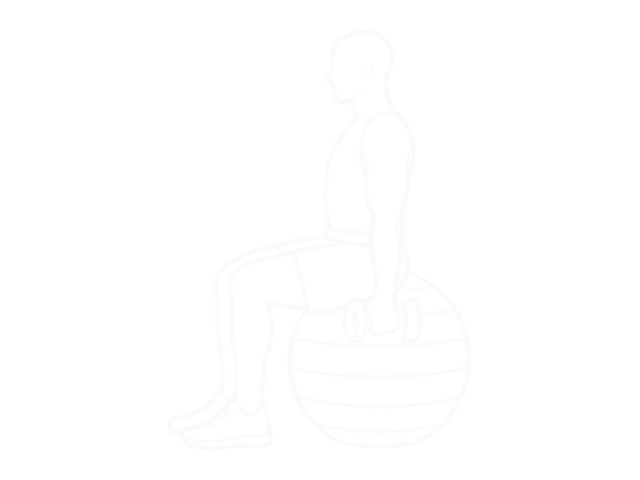 Seated Alternating Dumbbell Biceps Curl on Exercise Ball — 시작