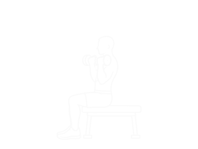 Dumbbell Arnold Press — 시작