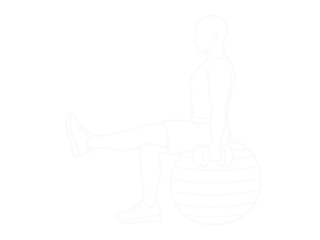 Dumbbell Biceps Curl on Exercise Ball with Leg Raised — Start