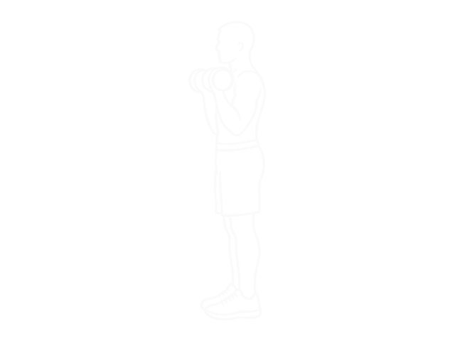 Dumbbell Biceps Curl — 끝