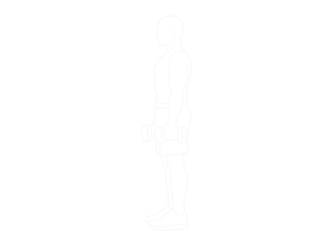 Dumbbell Biceps Curl — 시작