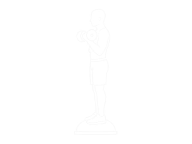 Dumbbell Biceps Curl V Sit on Bosu Ball — 끝