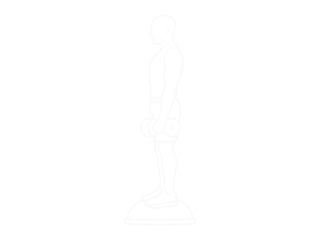 Dumbbell Biceps Curl V Sit on Bosu Ball — 시작