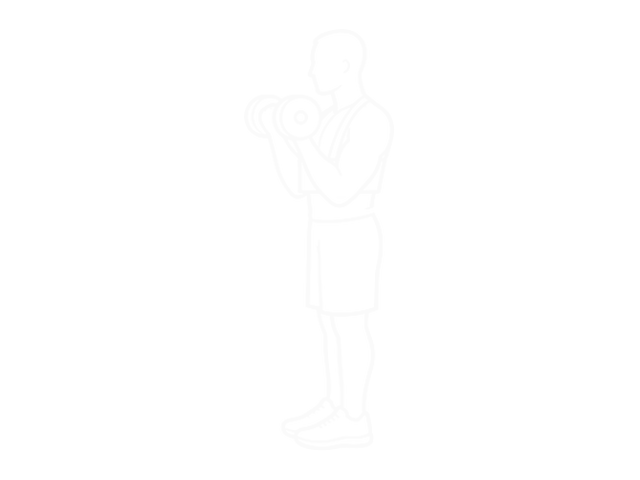 Dumbbell Biceps Curl (With Arm Blaster) — End