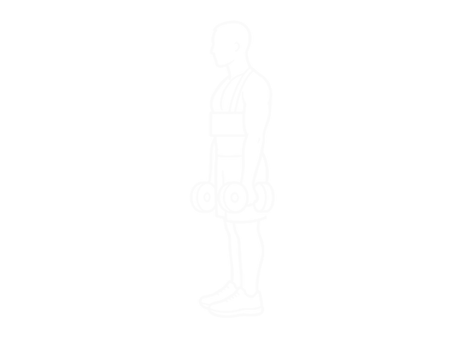 Dumbbell Biceps Curl (With Arm Blaster) — Start