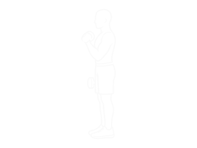 Dumbbell Cross Body Hammer Curl — 끝
